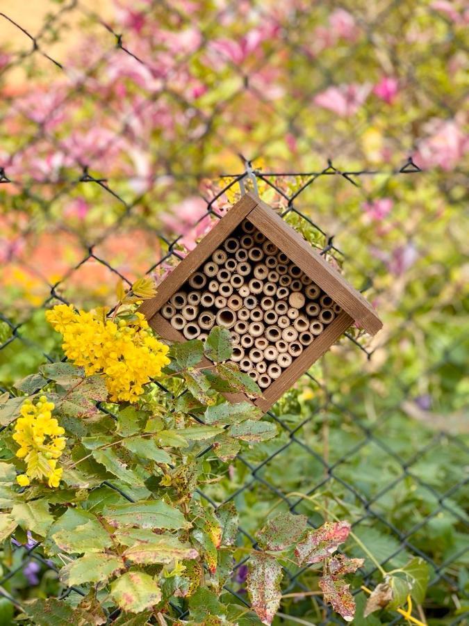 Powiew - B&B Pensjonat Noclegi Swinoujscie - Unterkunft Swinemuende - Guesthouse Tennis Garden Breakfast At Baltic Sea ภายนอก รูปภาพ