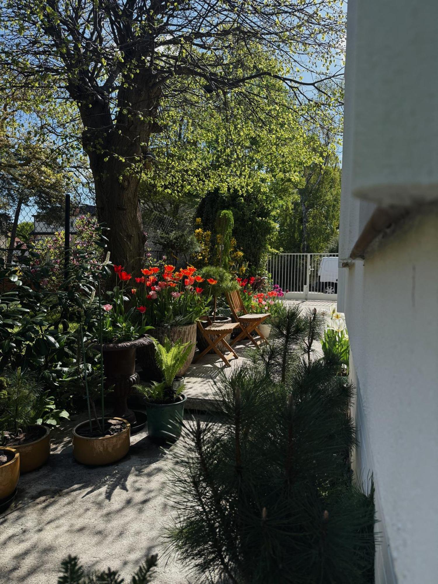 Powiew - B&B Pensjonat Noclegi Swinoujscie - Unterkunft Swinemuende - Guesthouse Tennis Garden Breakfast At Baltic Sea ภายนอก รูปภาพ