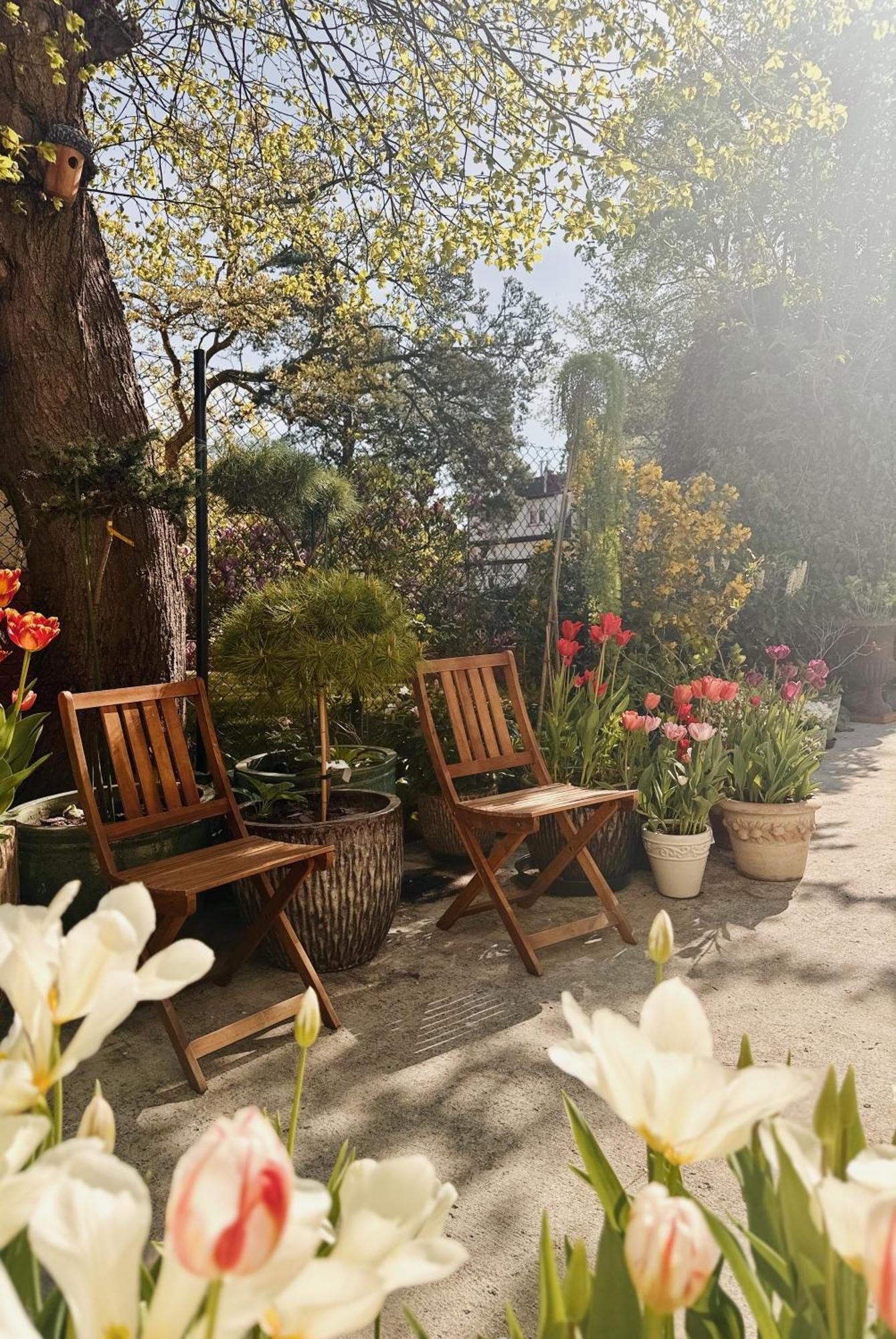 Powiew - B&B Pensjonat Noclegi Swinoujscie - Unterkunft Swinemuende - Guesthouse Tennis Garden Breakfast At Baltic Sea ภายนอก รูปภาพ